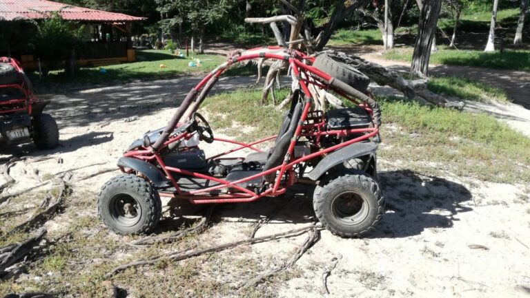 sitemgr_photo_2501-1 sitemgr_photo_2501-1