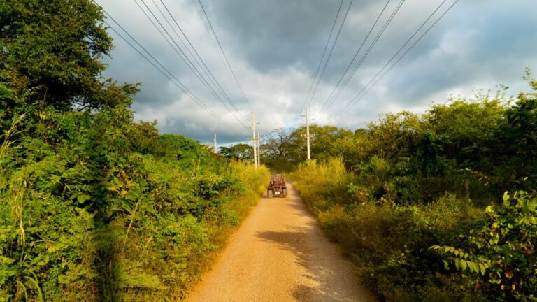 sitemgr_photo_2502-1 sitemgr_photo_2502-1