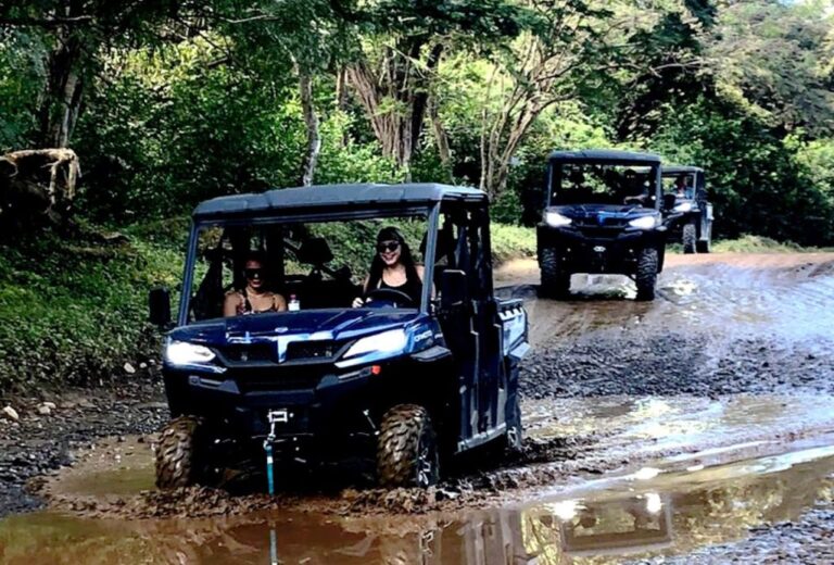 sitemgr_photo_2518-1