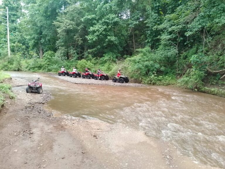 sitemgr_photo_2524-1