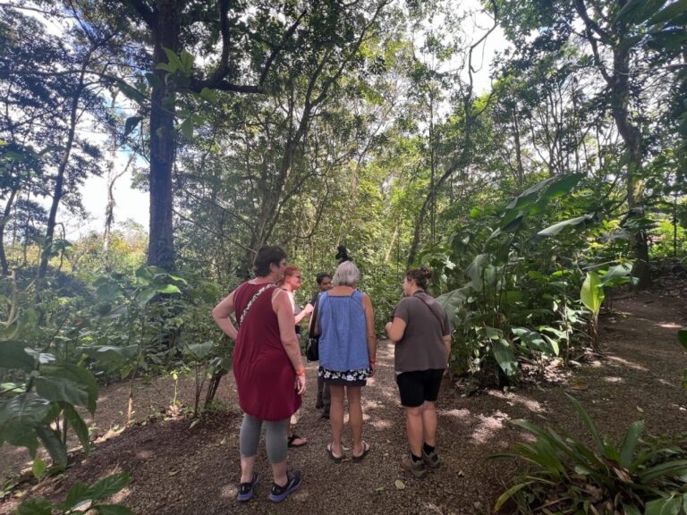 sitemgr_photo_2525-1