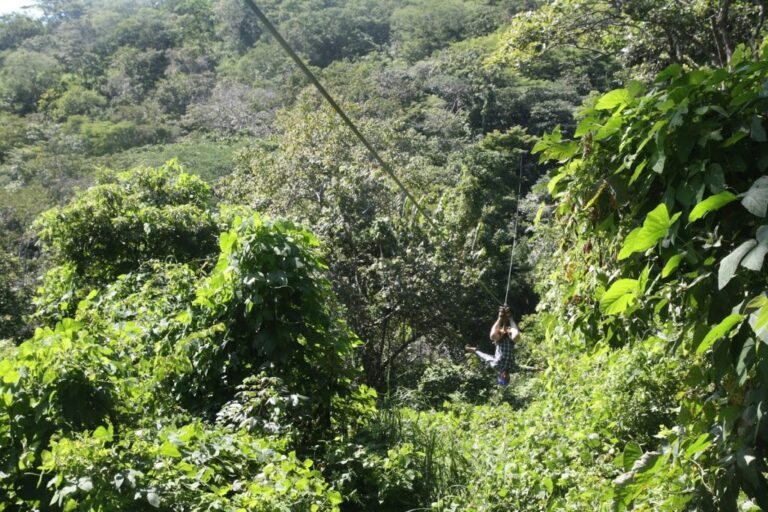 sitemgr_photo_2540-1 sitemgr_photo_2540-1