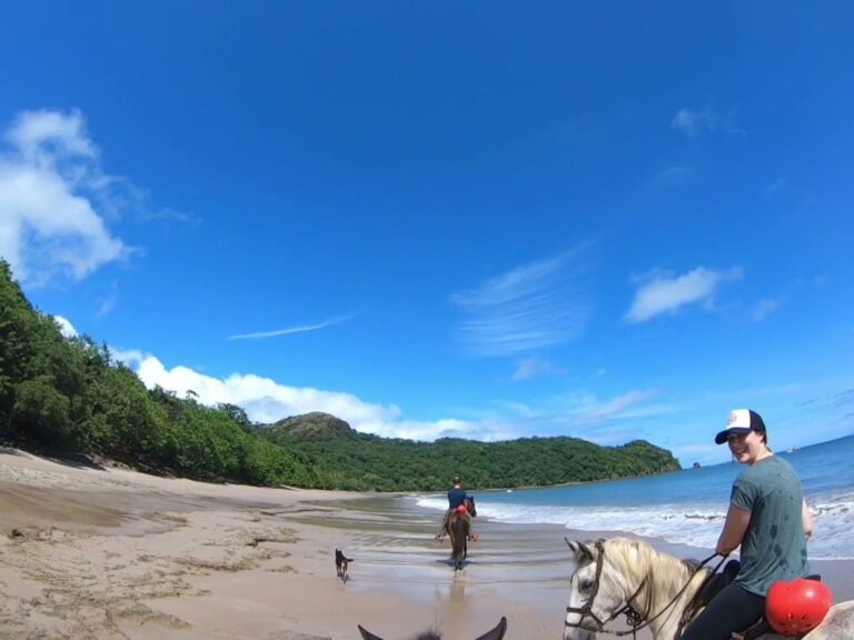 sitemgr_photo_2541-1 sitemgr_photo_2541-1