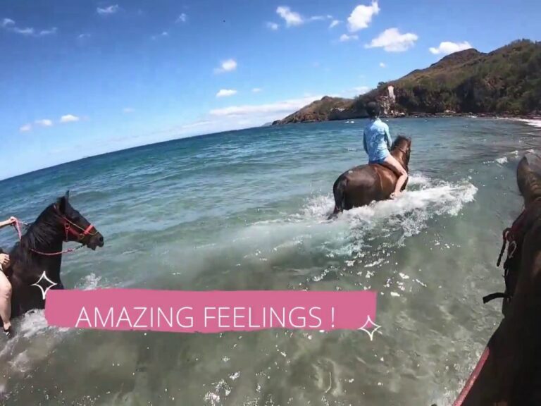 sitemgr_photo_2543-1 sitemgr_photo_2543-1