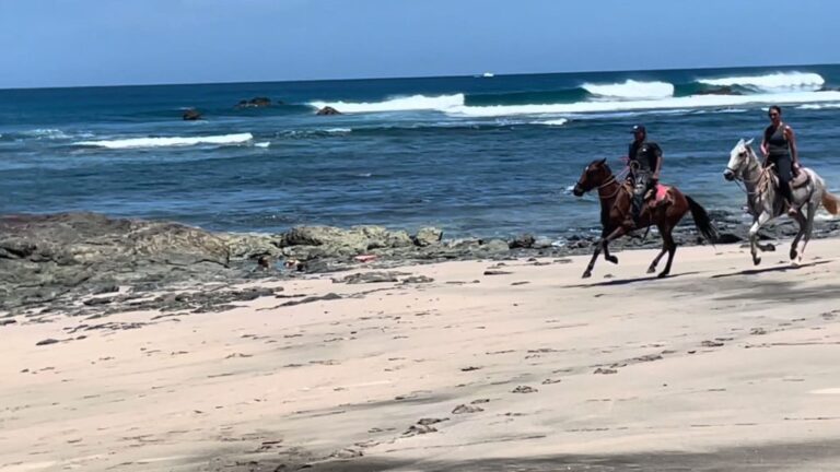 sitemgr_photo_2546-1 sitemgr_photo_2546-1