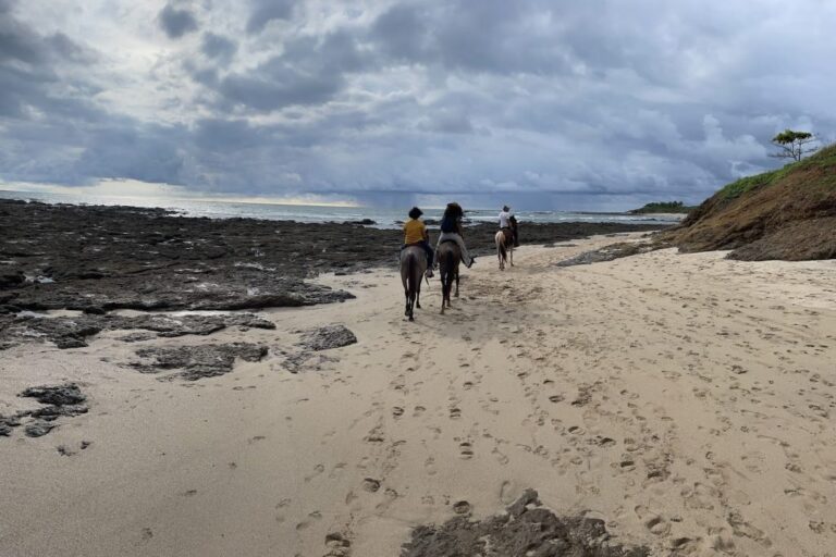 sitemgr_photo_2549-1 sitemgr_photo_2549-1