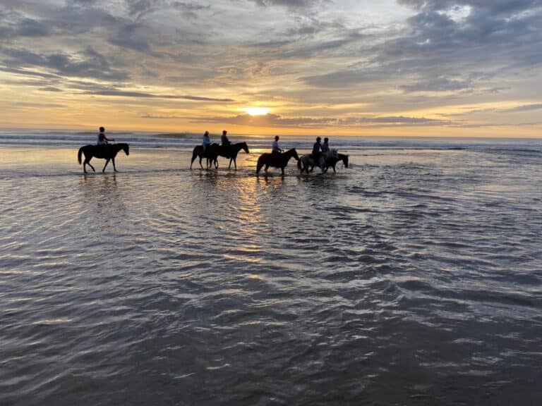 sitemgr_photo_2550-1 sitemgr_photo_2550-1