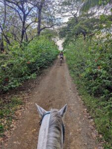 sitemgr_photo_2556-1 sitemgr_photo_2556-1