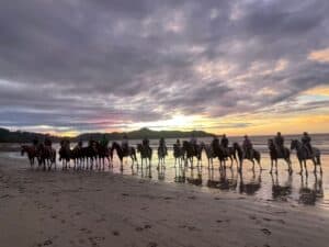 sitemgr_photo_2566-1