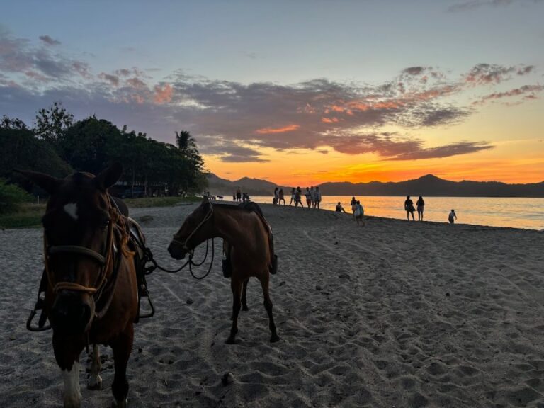 sitemgr_photo_2575-1 sitemgr_photo_2575-1