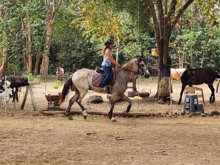 sitemgr_photo_2581-1