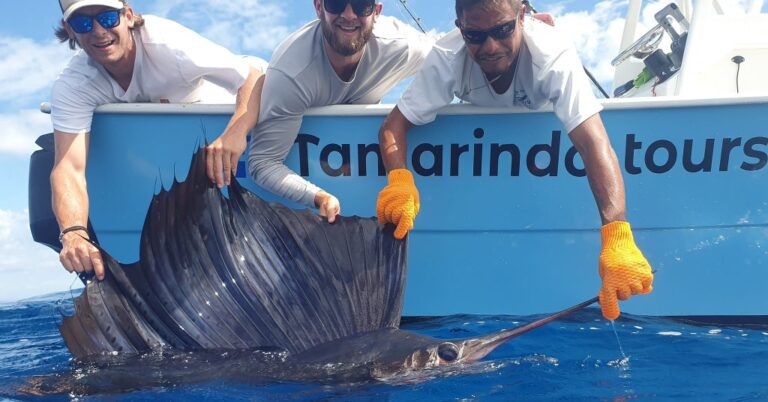 sitemgr_photo_2705-3