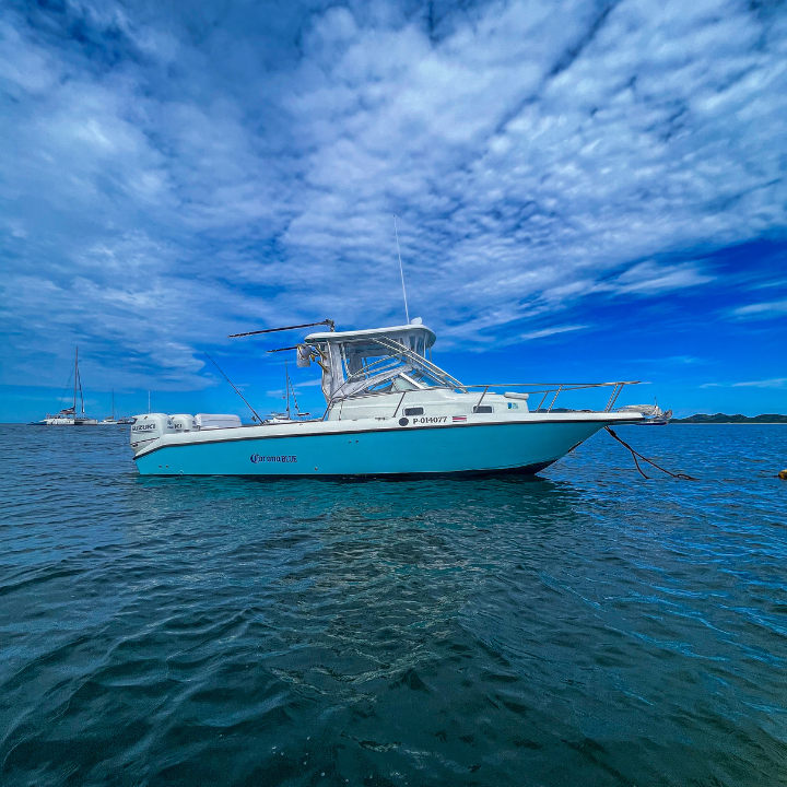 sitemgr_photo_2729-1 sitemgr_photo_2729-1