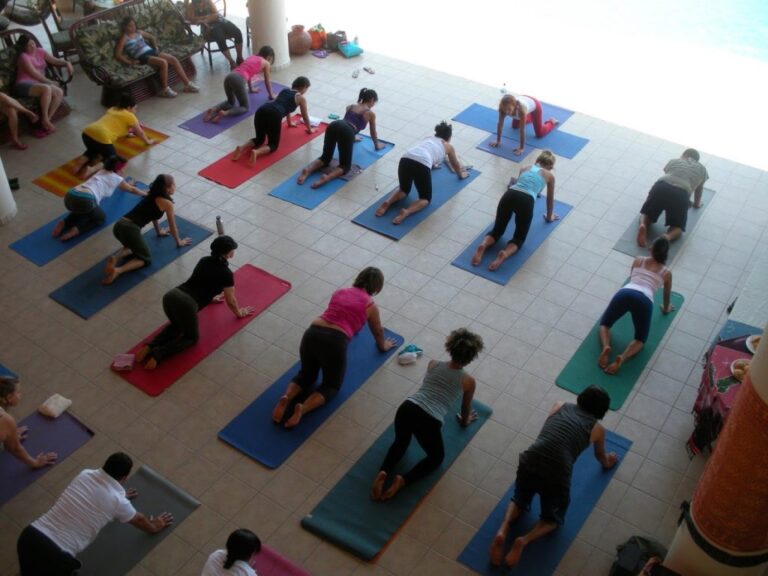 sitemgr_photo_3310-1 sitemgr_photo_3310-1