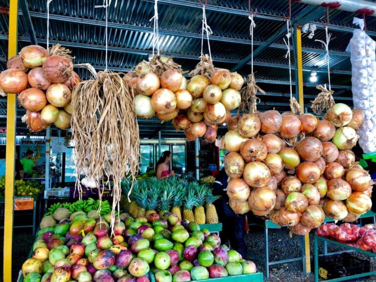 sitemgr_photo_3650-1 sitemgr_photo_3650-1