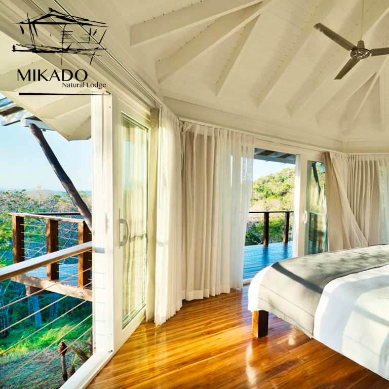 sitemgr_photo_380-3 sitemgr_photo_380-3