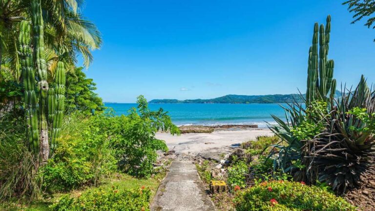 sitemgr_photo_4156-1 sitemgr_photo_4156-1