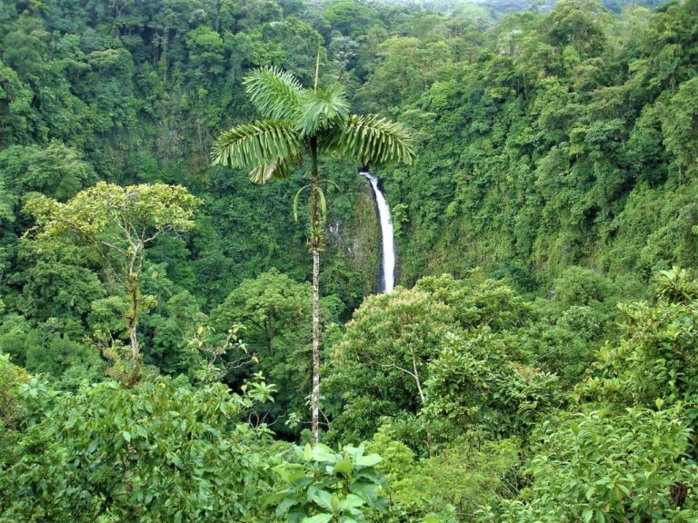 sitemgr_photo_4187-1 sitemgr_photo_4187-1