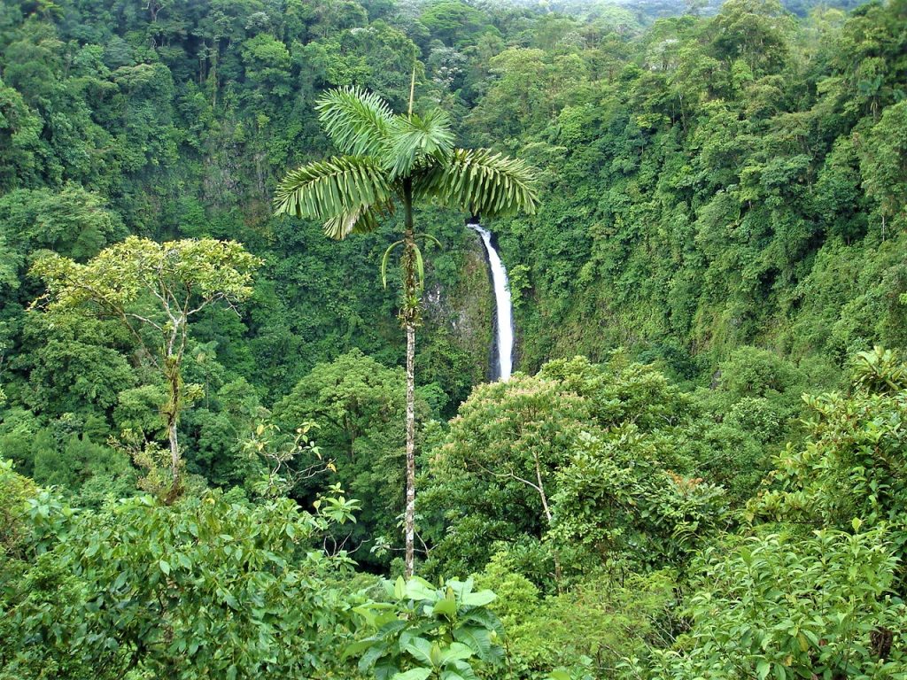 sitemgr_photo_4187-1 sitemgr_photo_4187-1