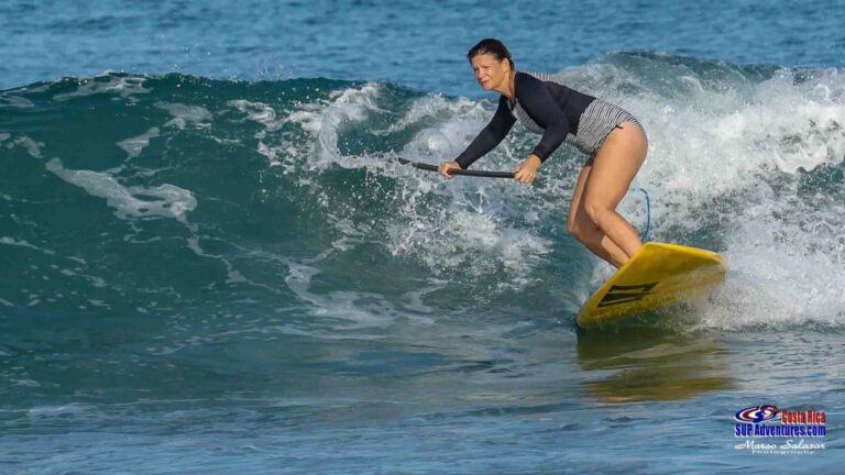 sitemgr_photo_4342-2 sitemgr_photo_4342-2