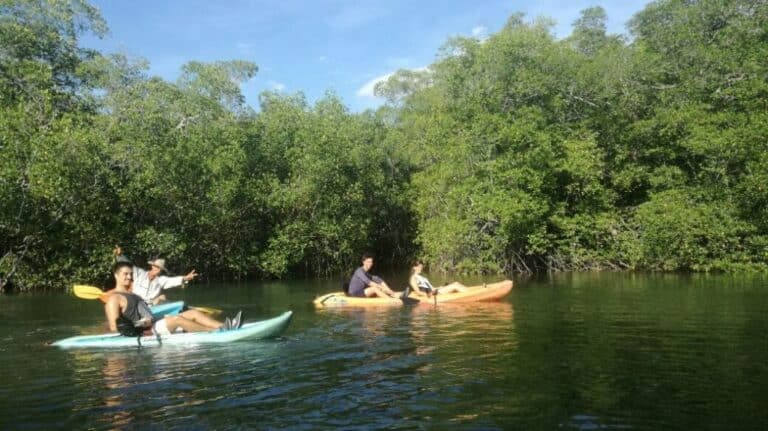 sitemgr_photo_4345-2 sitemgr_photo_4345-2