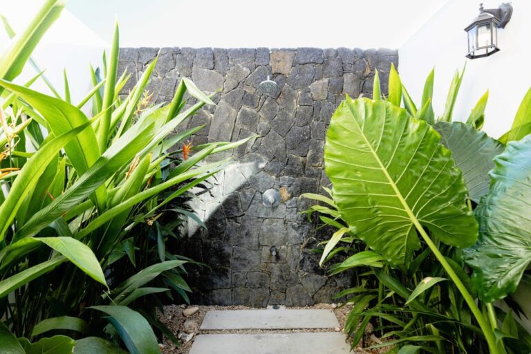 sitemgr_photo_444-3 sitemgr_photo_444-3