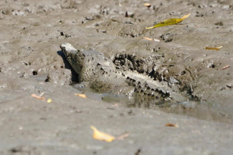 sitemgr_photo_4473-1