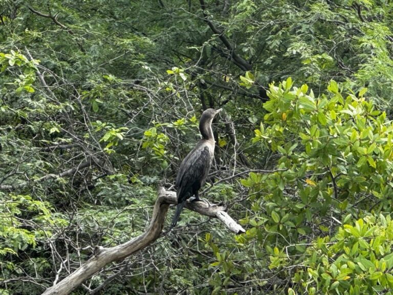 sitemgr_photo_4474-1