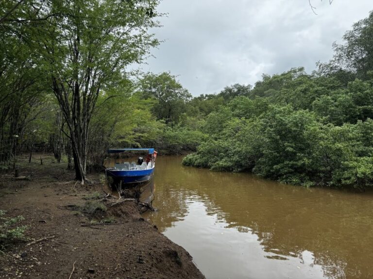 sitemgr_photo_4475-2 sitemgr_photo_4475-2