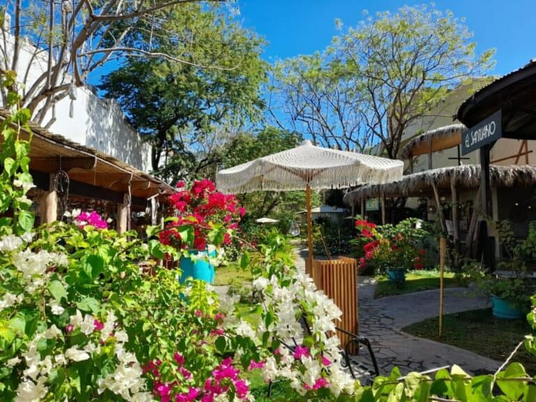 sitemgr_photo_551-2 sitemgr_photo_551-2