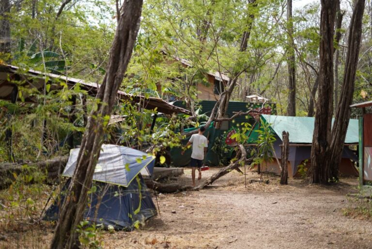 sitemgr_photo_697-2 sitemgr_photo_697-2