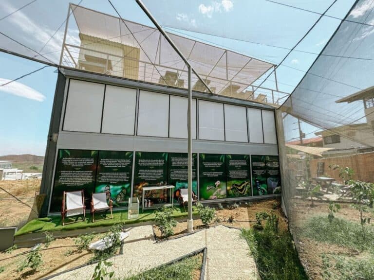 sitemgr_photo_705-1 sitemgr_photo_705-1