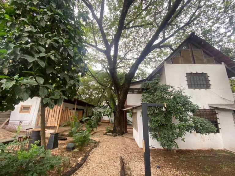 sitemgr_photo_729-2 sitemgr_photo_729-2