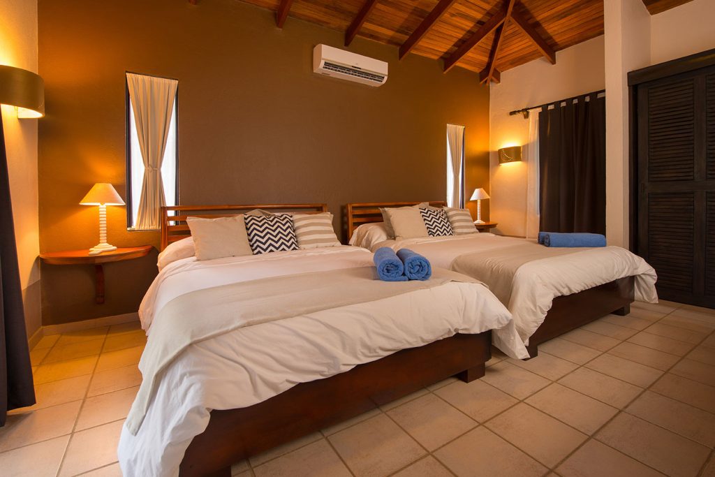 sitemgr_photo_795-1 sitemgr_photo_795-1