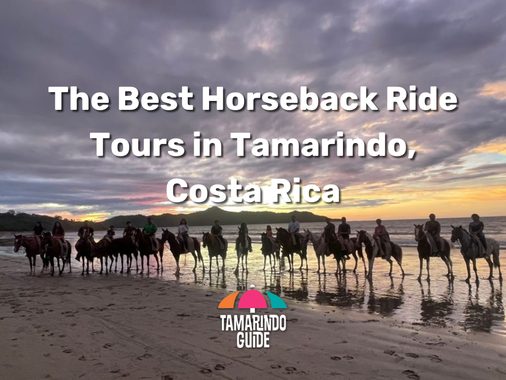 Blog Image Best Horseback Ride