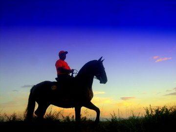 Riding Escapes