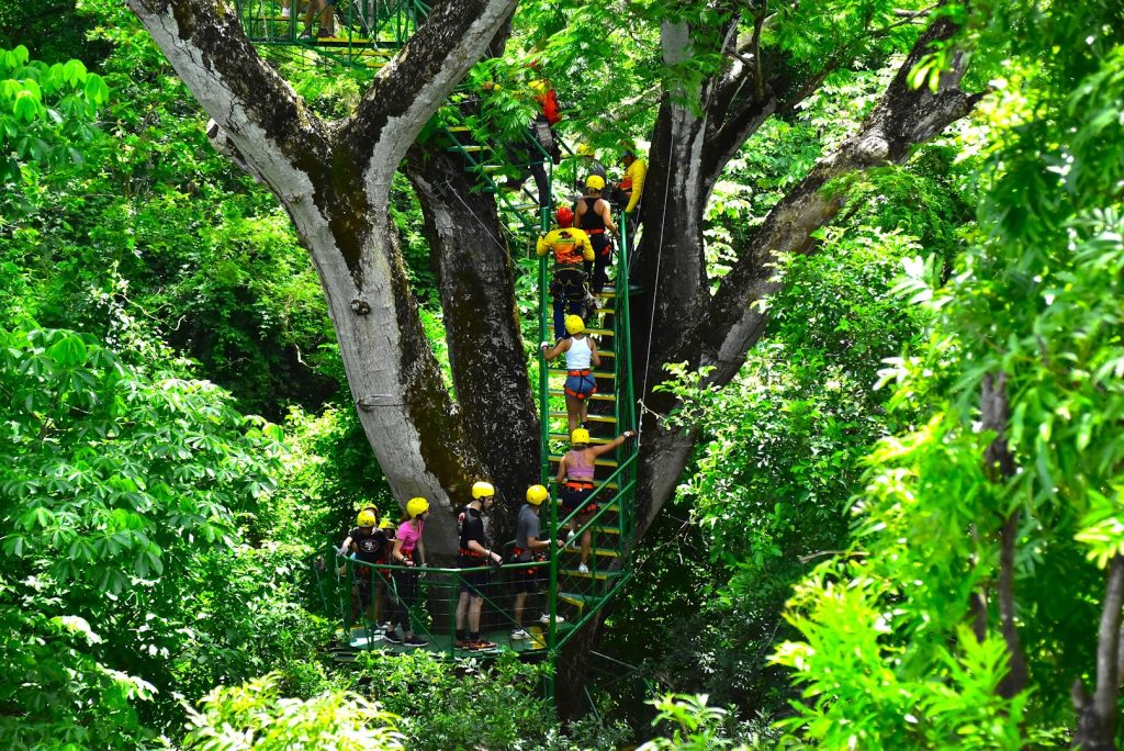 Skyline Canopy Tour