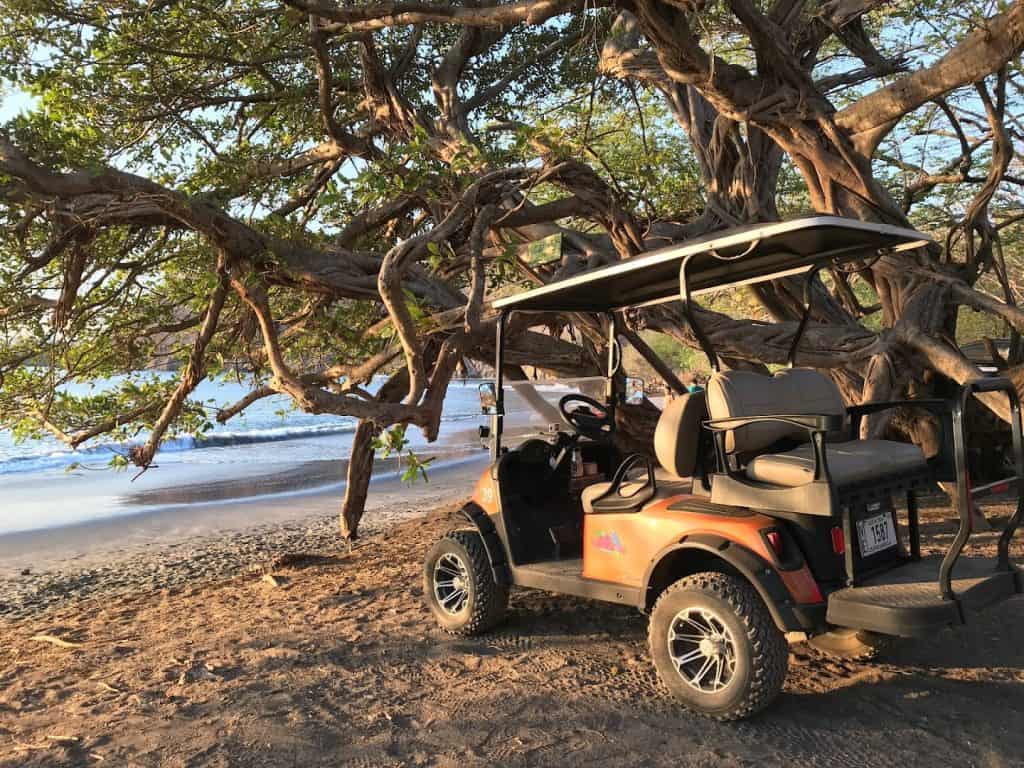Golf cart parked under a large tree at Tamarindo Beach in Costa Rica.
