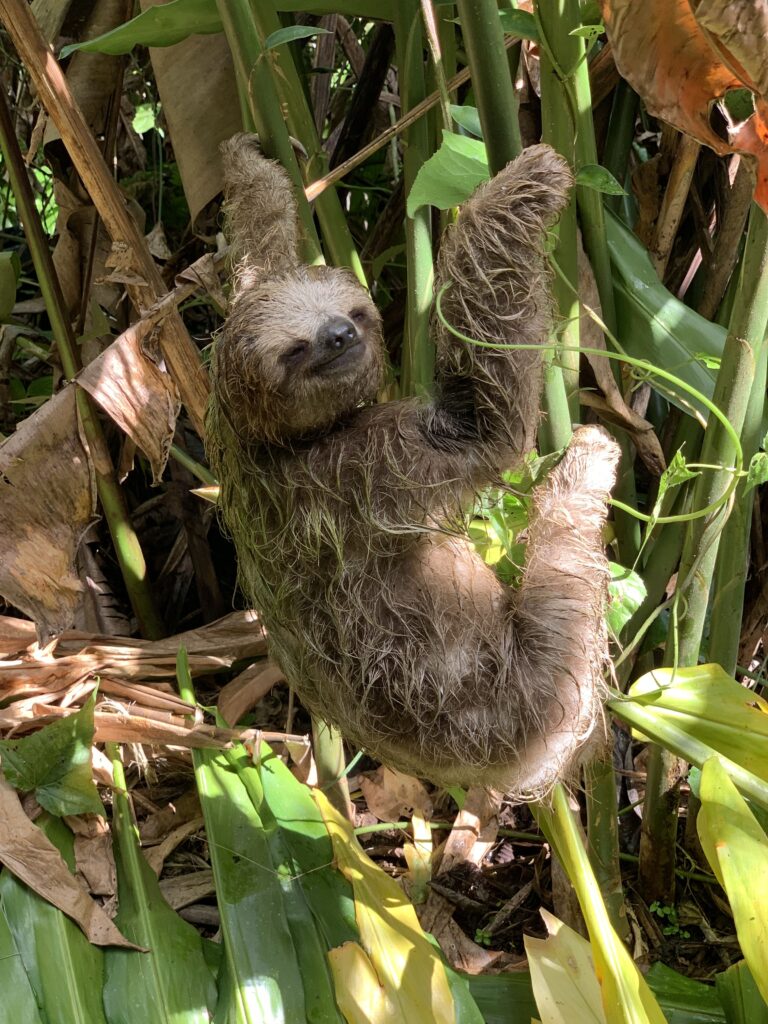 686bfdbcd55cfeae45cc9ee9 768x1024