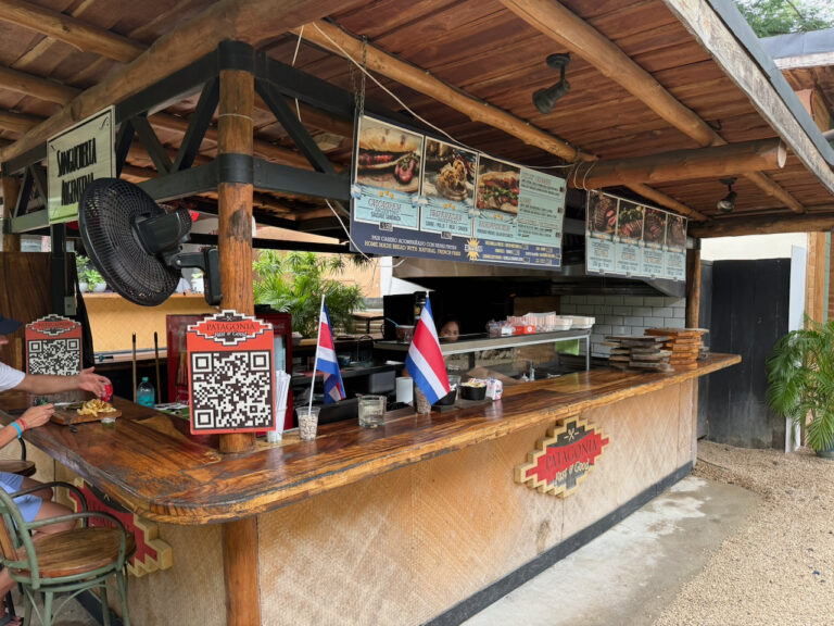 Patagonia Fast and Good 768x576