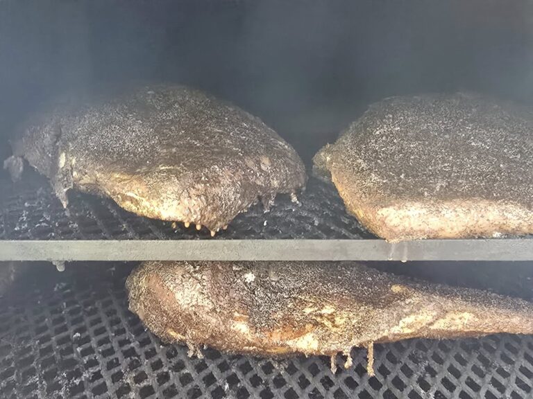 522720934 122141568998807907 7746426830102614433 n 768x576