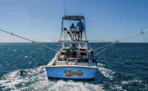 Capullo Back 300x186