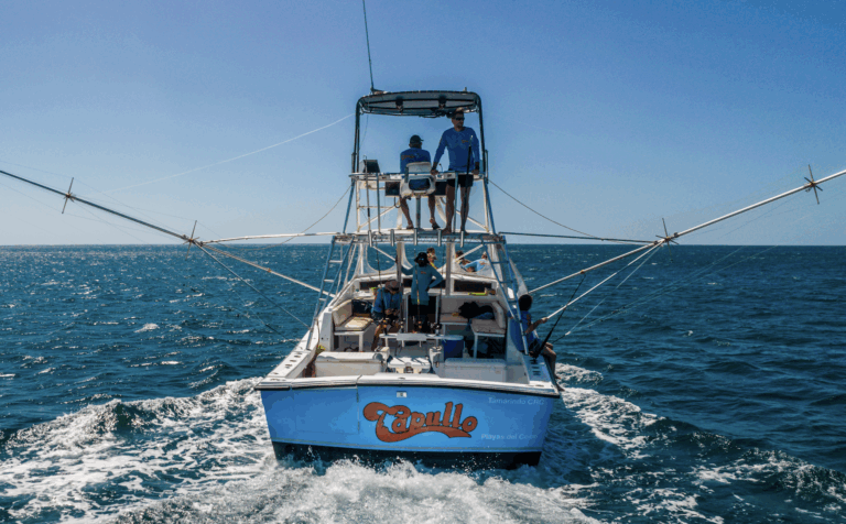 Capullo Back 768x476