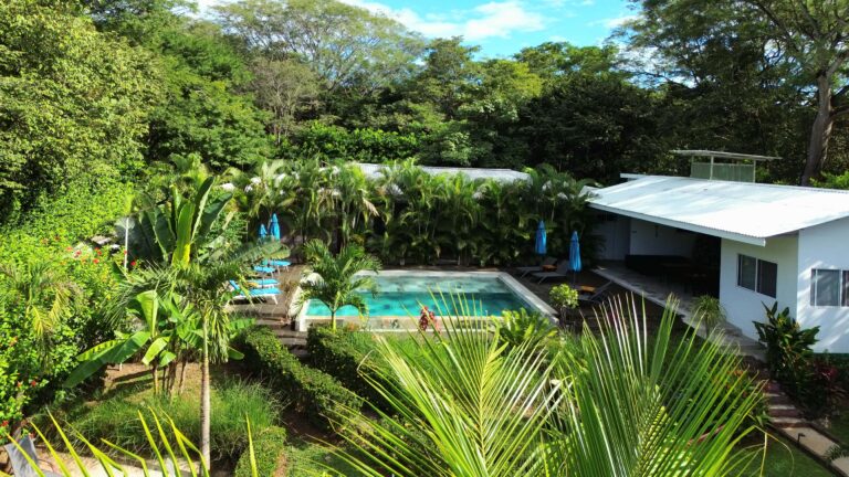 OTA251121 01 Piscine Jour 768x432