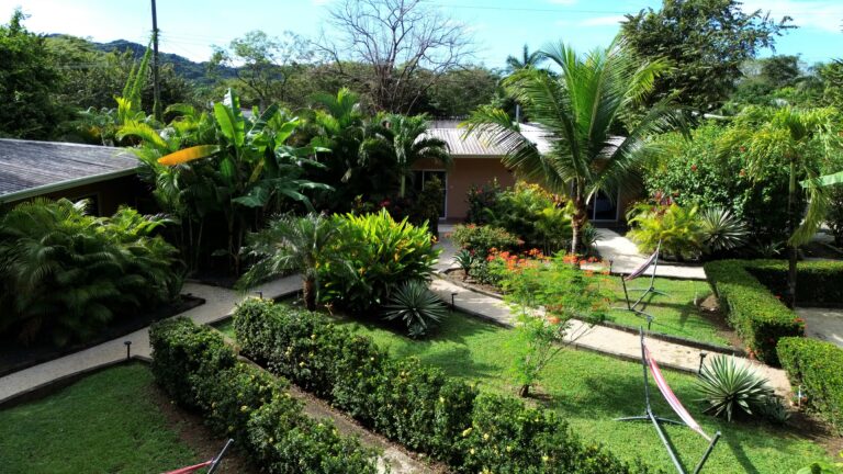 OTA251121 02 Jardin Jour 768x432