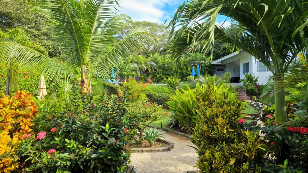 OTA251121 08 Jardin Jour 1024x576