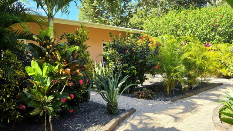 OTA251121 24 Jardin Jour 1 768x432