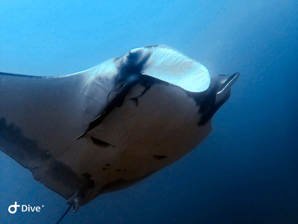 471604417 460918813722931 6579581000596287538 n 1024x768