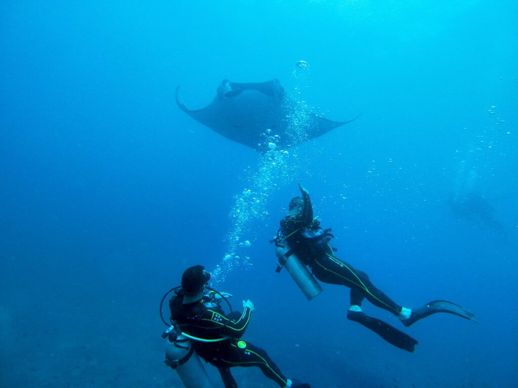 471633938 460918943722918 2554786419539527893 n 1024x768