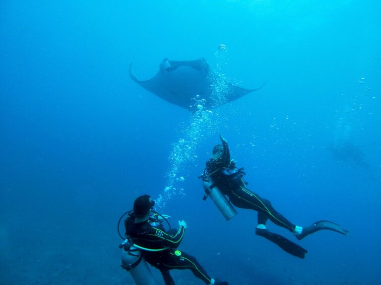 471633938 460918943722918 2554786419539527893 n 768x576